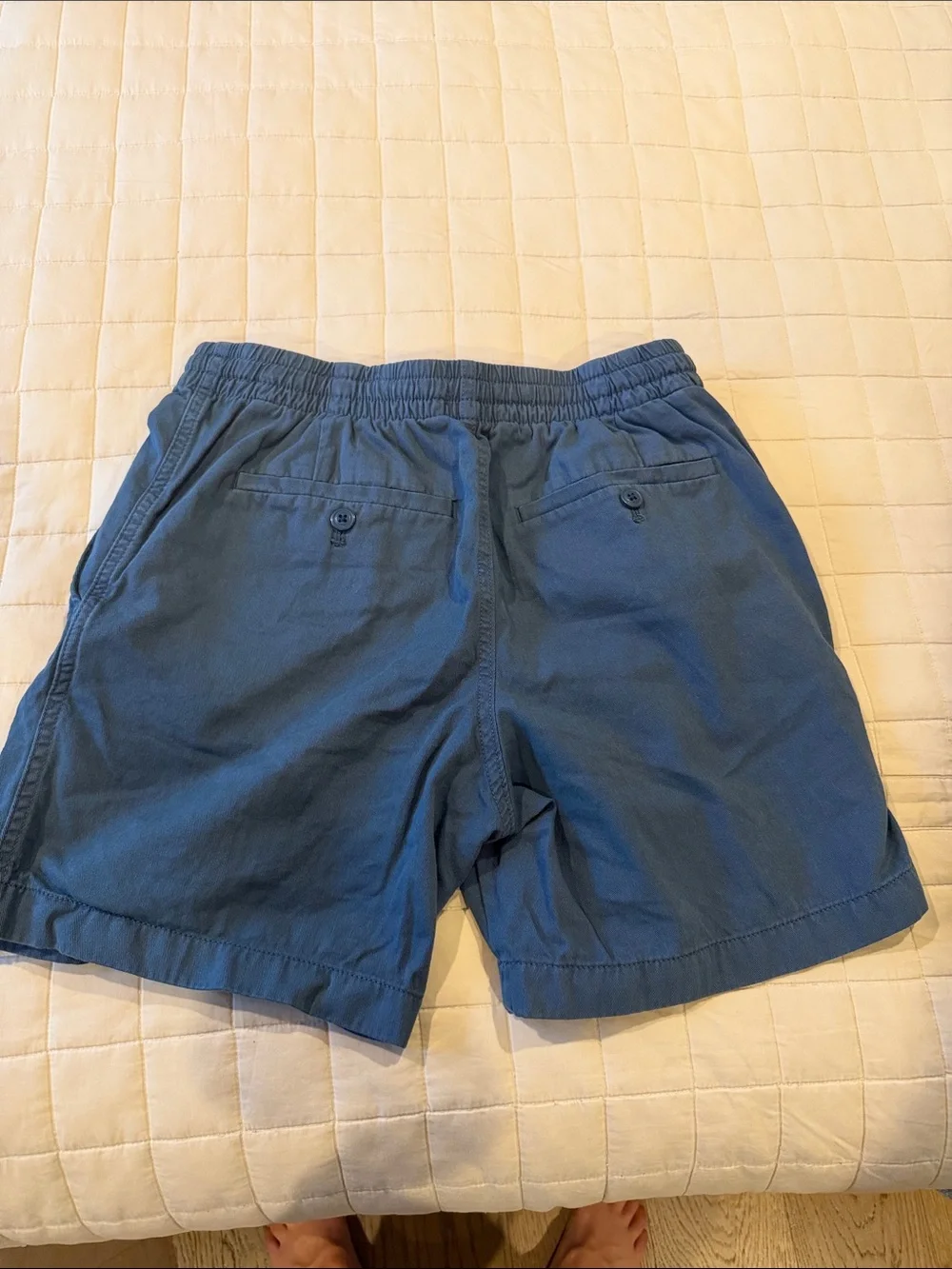 J. Crew Blue Men's Cargo Shorts